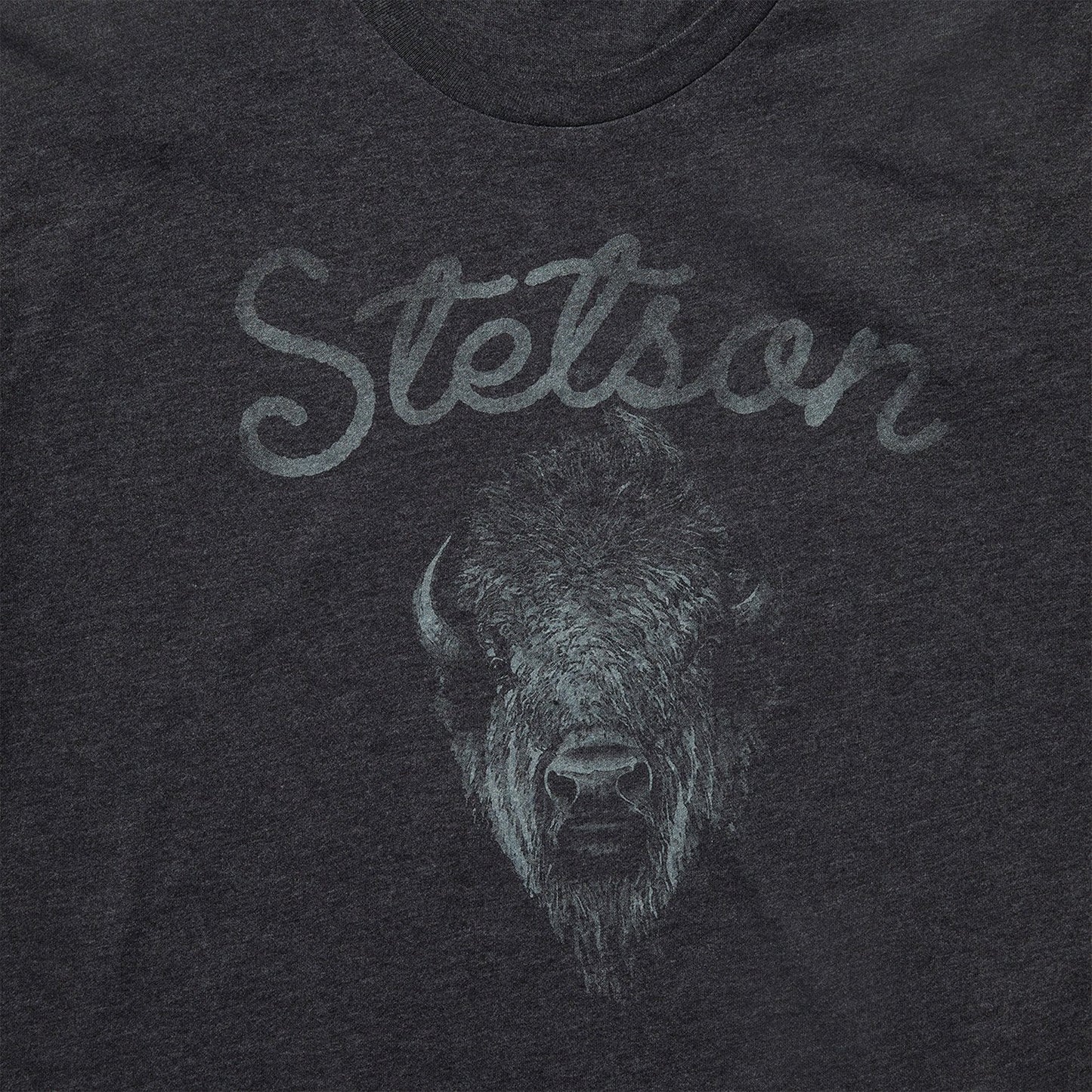 Bison Spirit Graphic Tee | Stetson Black