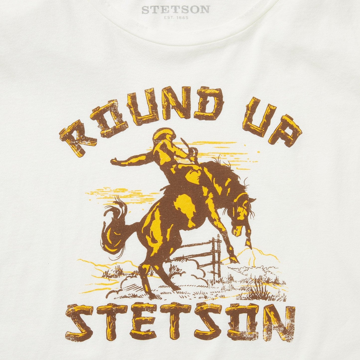 "Round Up" Stetson Vintage Tee | Stetson White