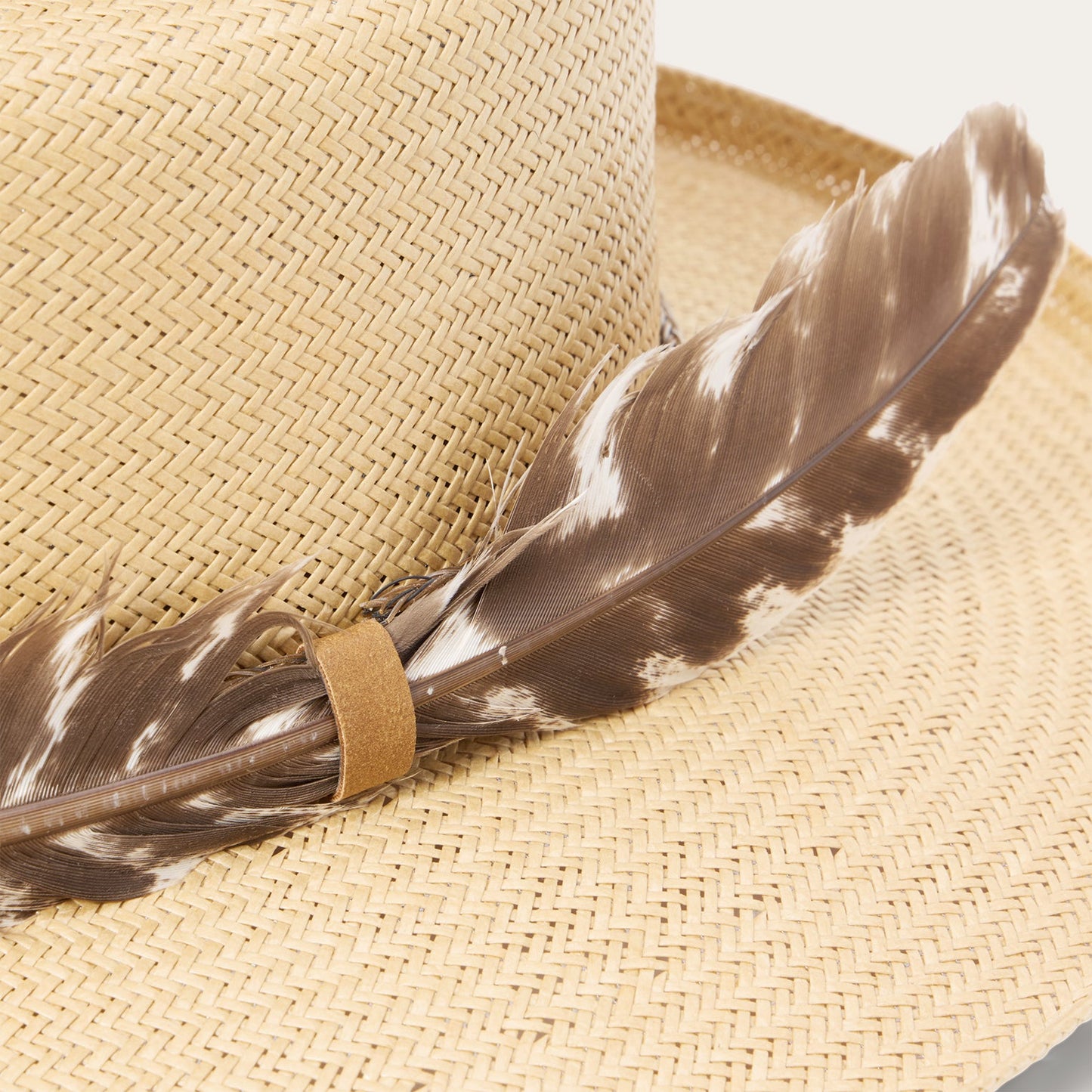 Might Could | Stetson Tan