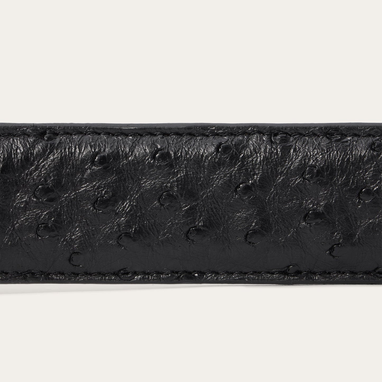 Ostrich Western Tab Belt | Stetson Black