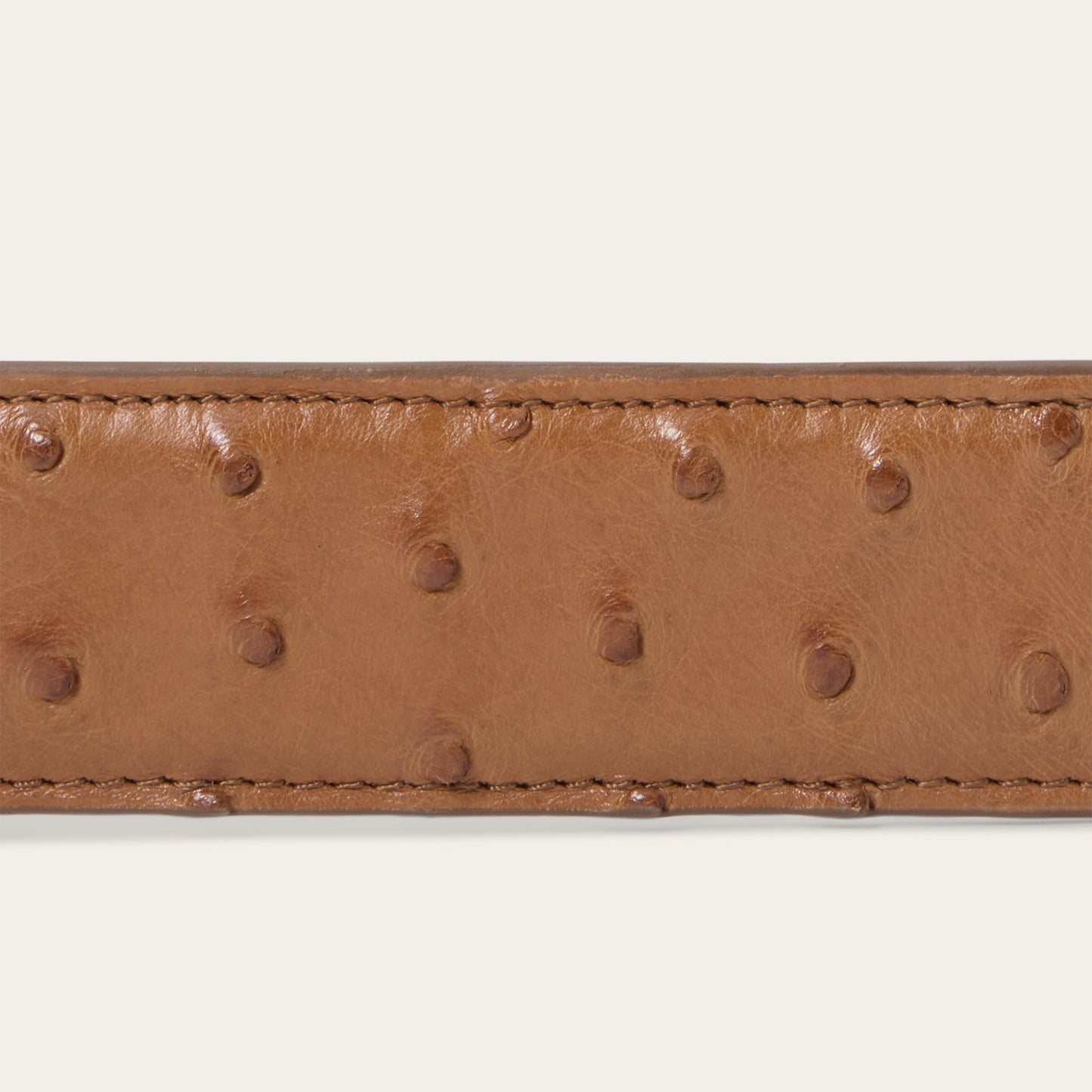 Ostrich Western Tab Belt | Stetson Antique Cognac