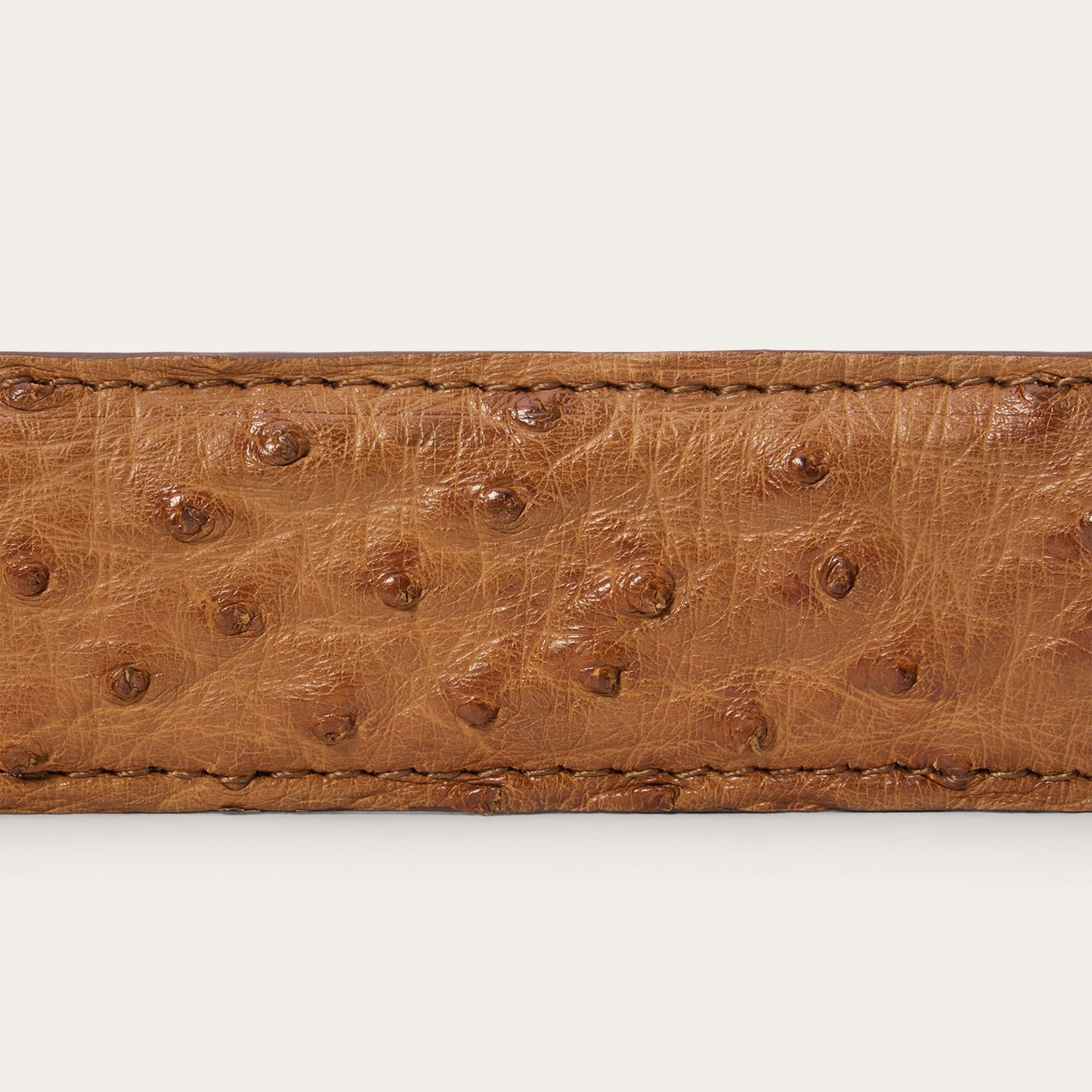 Ostrich Western Tab Belt - 1 1/4" Width | Stetson Antique Cognac
