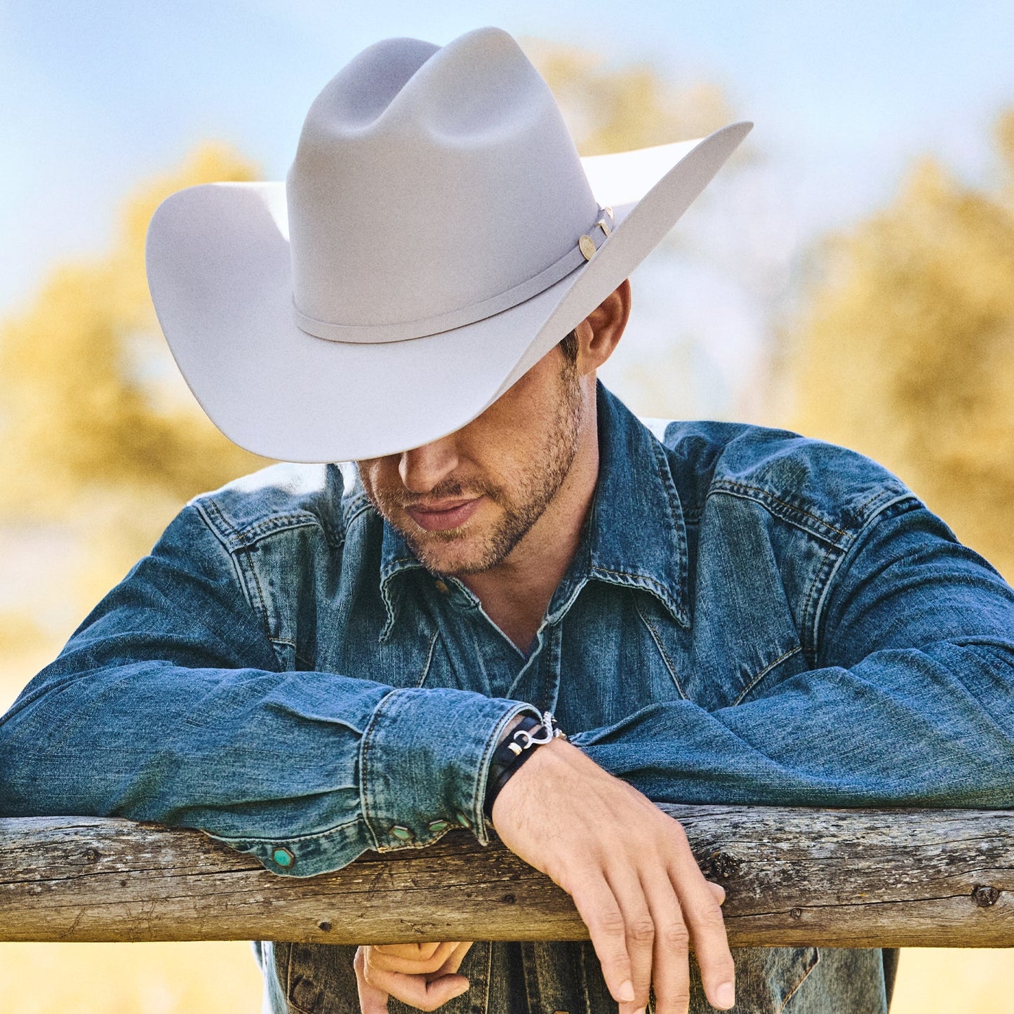 El Presidente 100X Premier Cowboy Hat | Stetson Silverbelly
