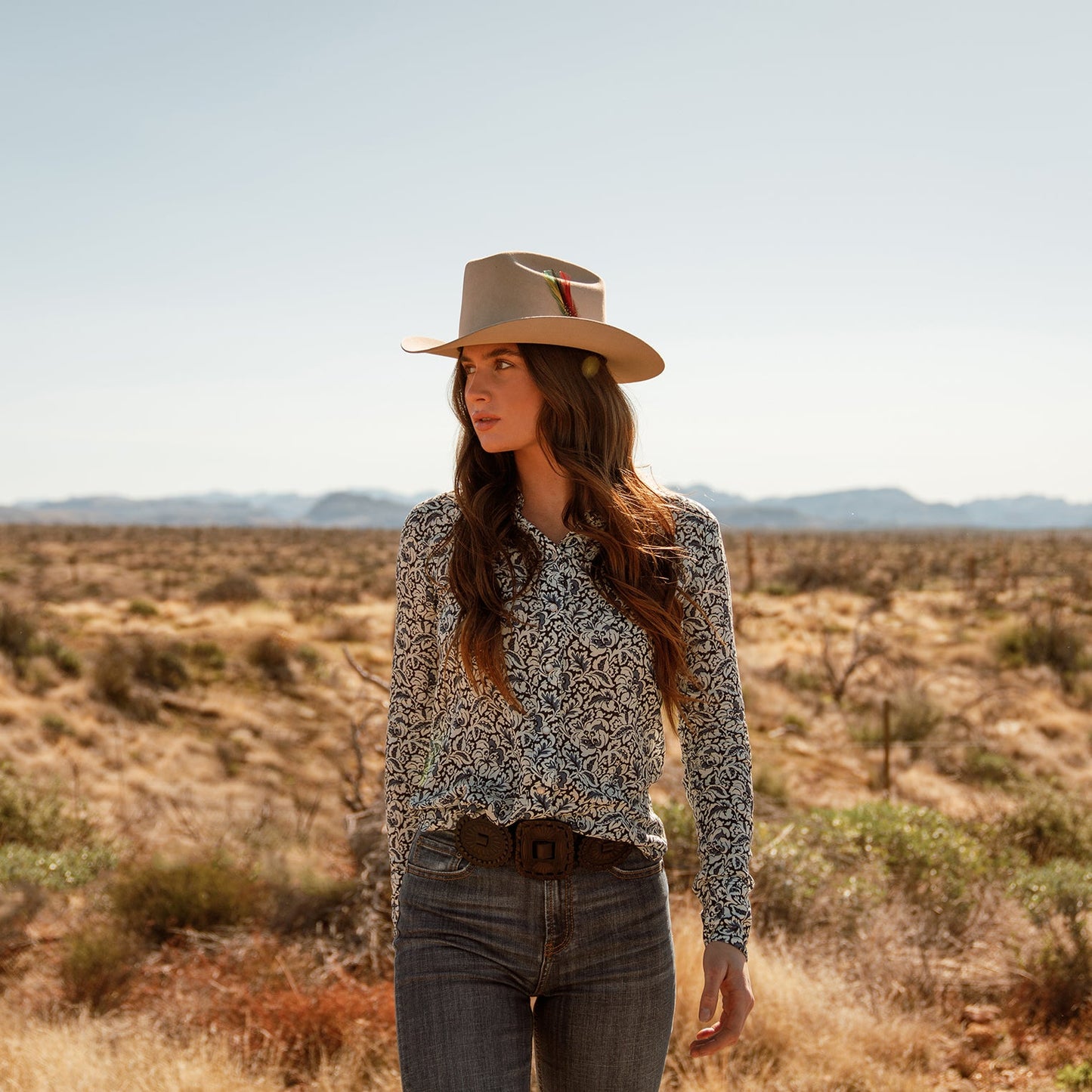 Range 6X Cowboy Hat | Stetson Silverbelly