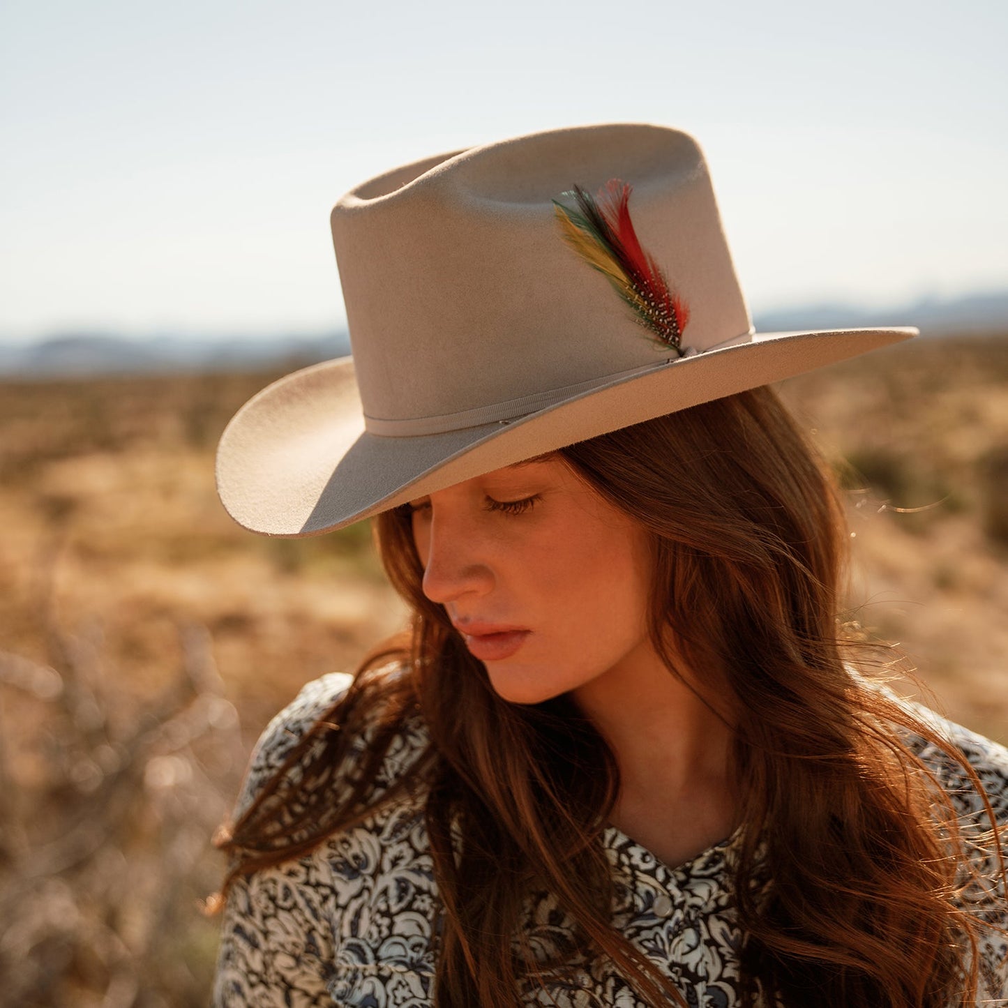 Range 6X Cowboy Hat | Stetson Silverbelly