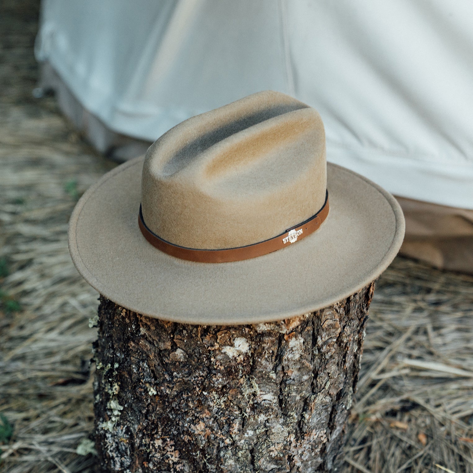 The Route 66 | Stetson Mushroom