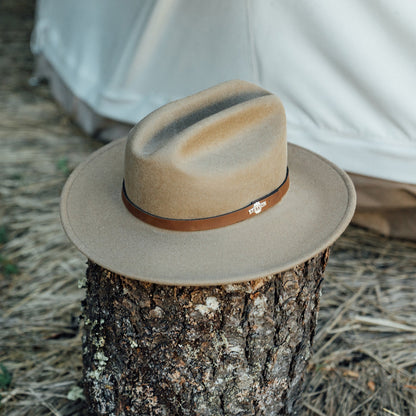 The Route 66 | Stetson Mushroom