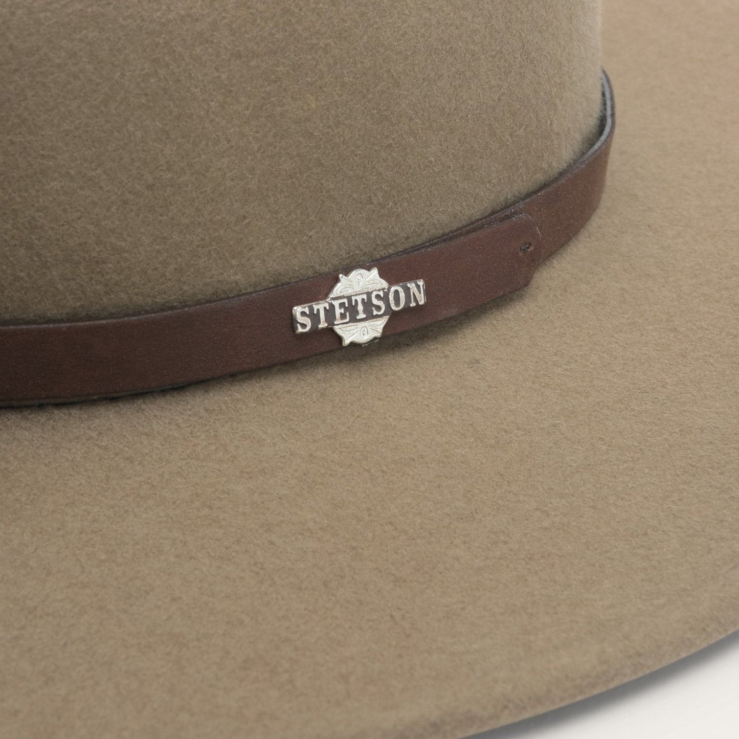 The Route 66 | Stetson Mushroom