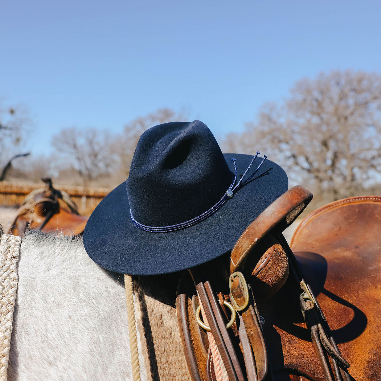 The Four Points | Stetson Navy