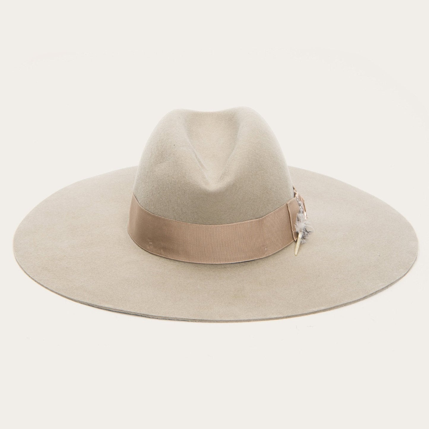 The Rapture | Stetson Mushroom