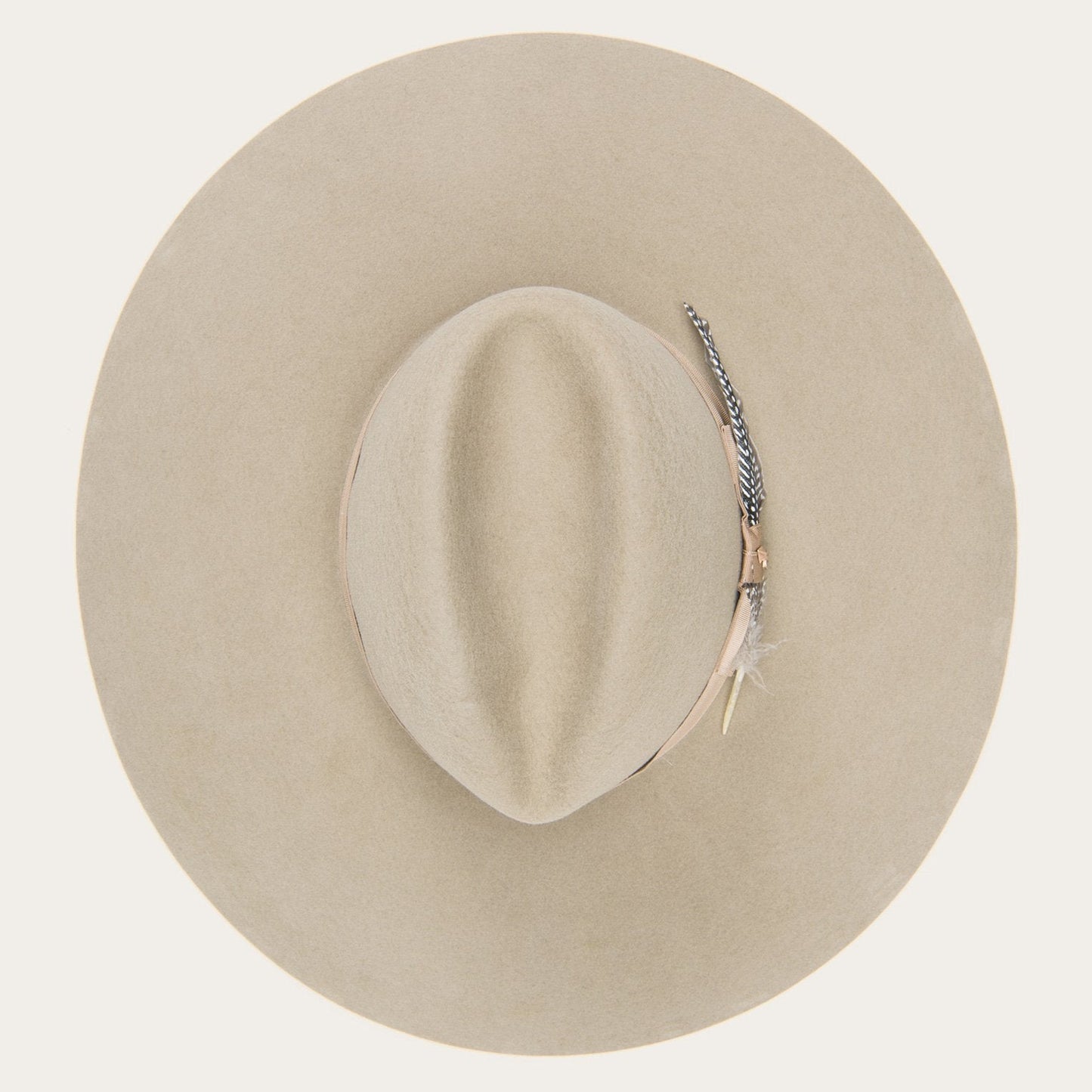 The Rapture | Stetson Mushroom
