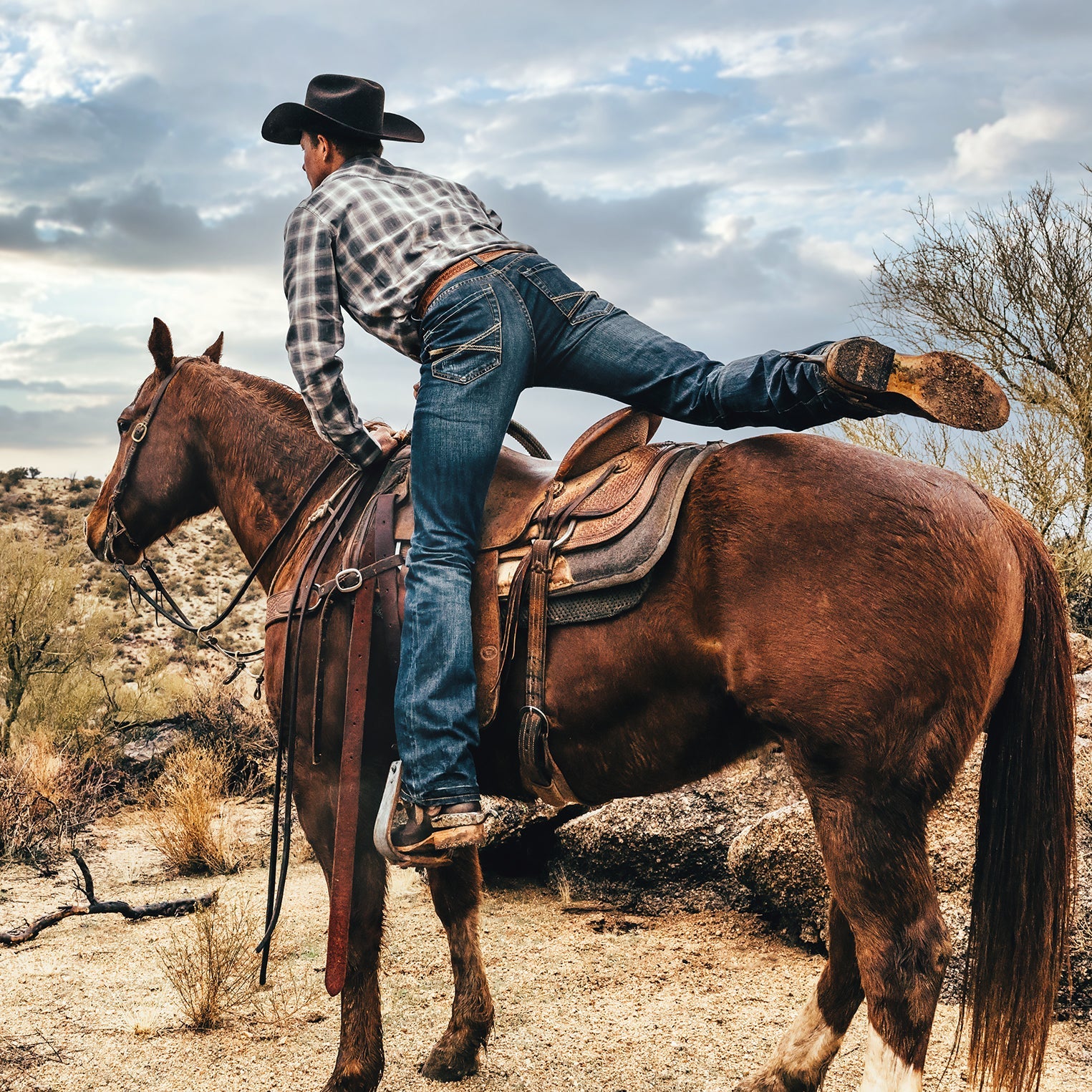 1014 Fit Destructed Dark Wash Jeans | Stetson Blue