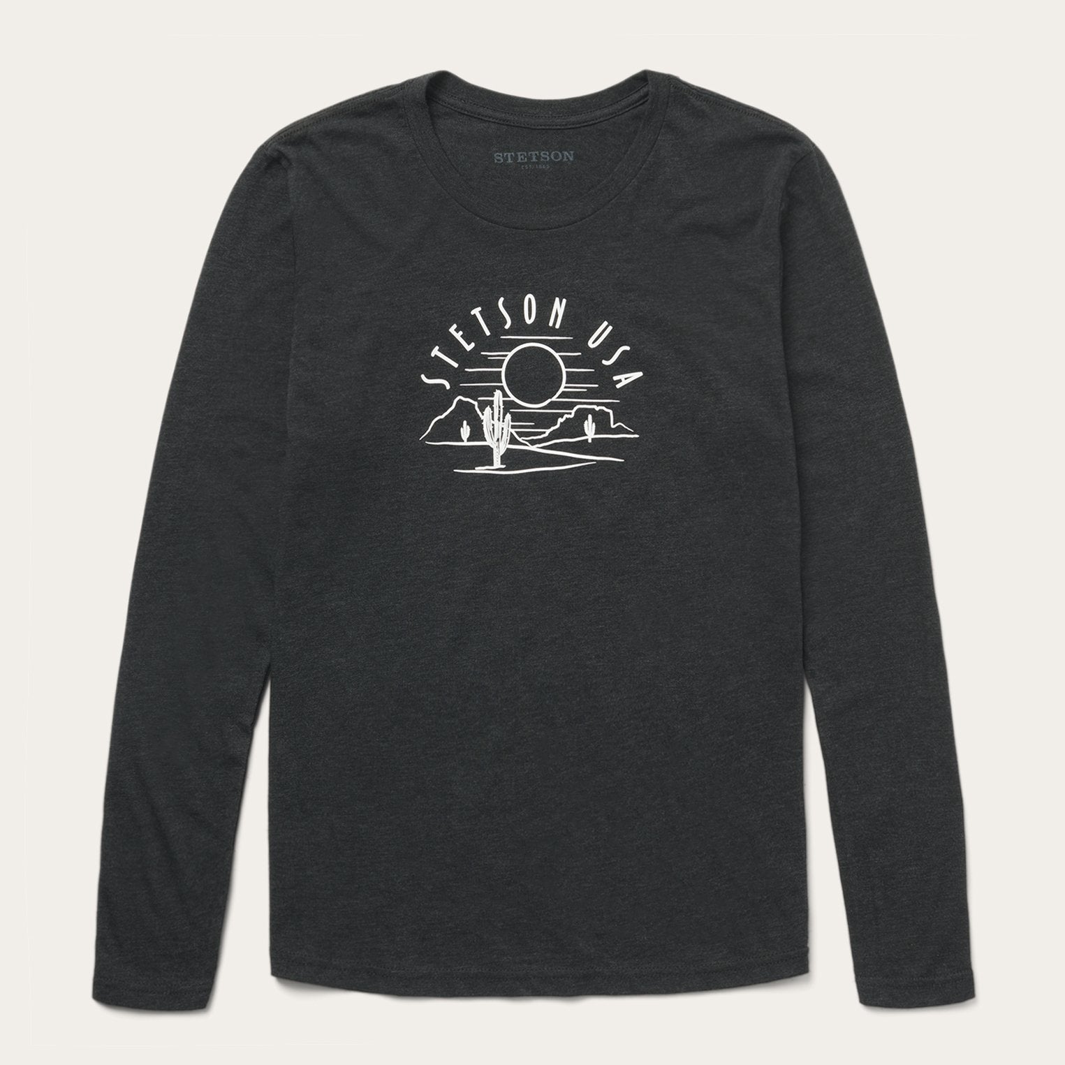 Cactus And Sunset Graphic Tee | Stetson Black
