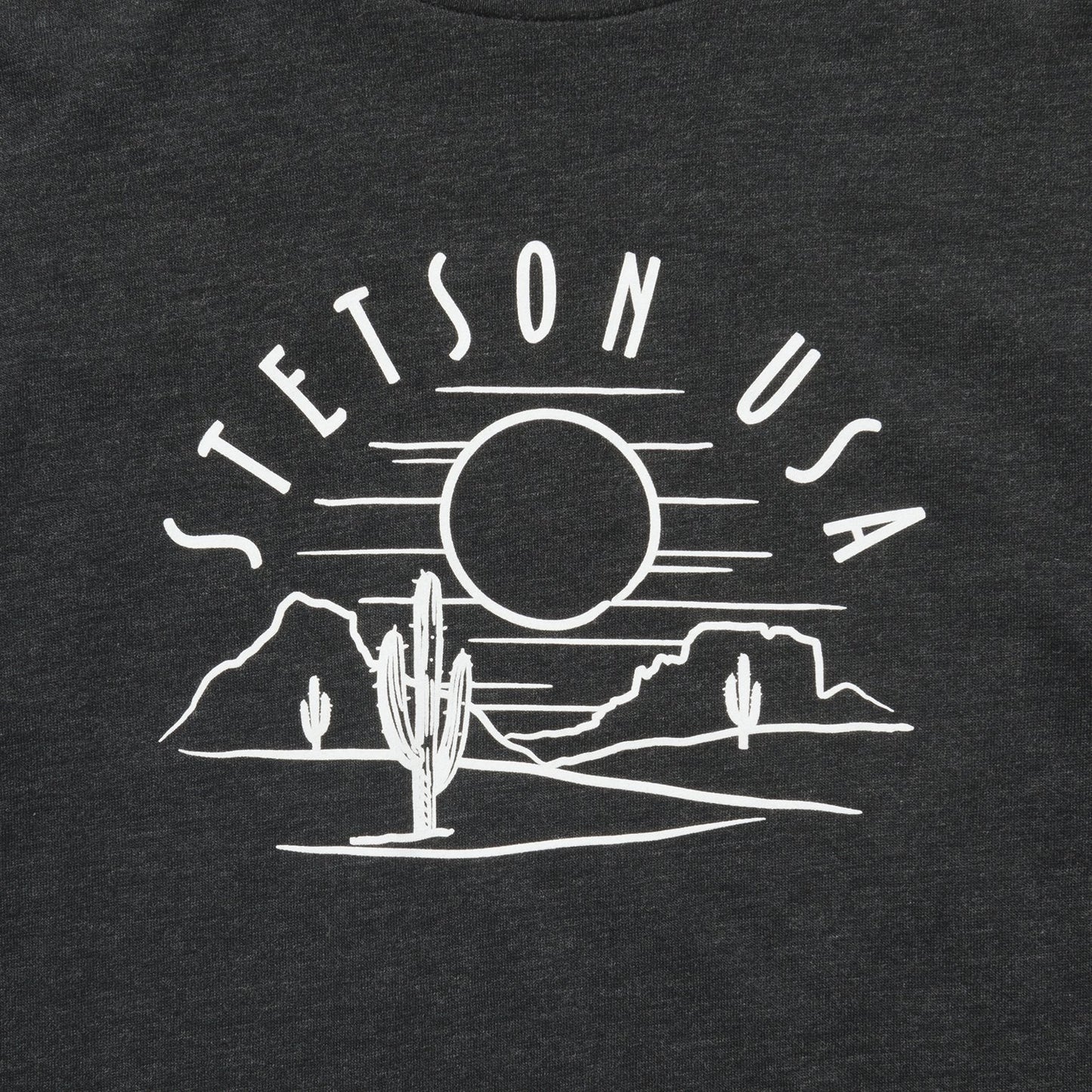 Cactus And Sunset Graphic Tee | Stetson Black