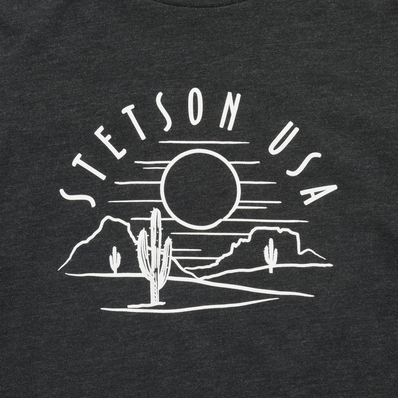 Cactus And Sunset Graphic Tee | Stetson Black