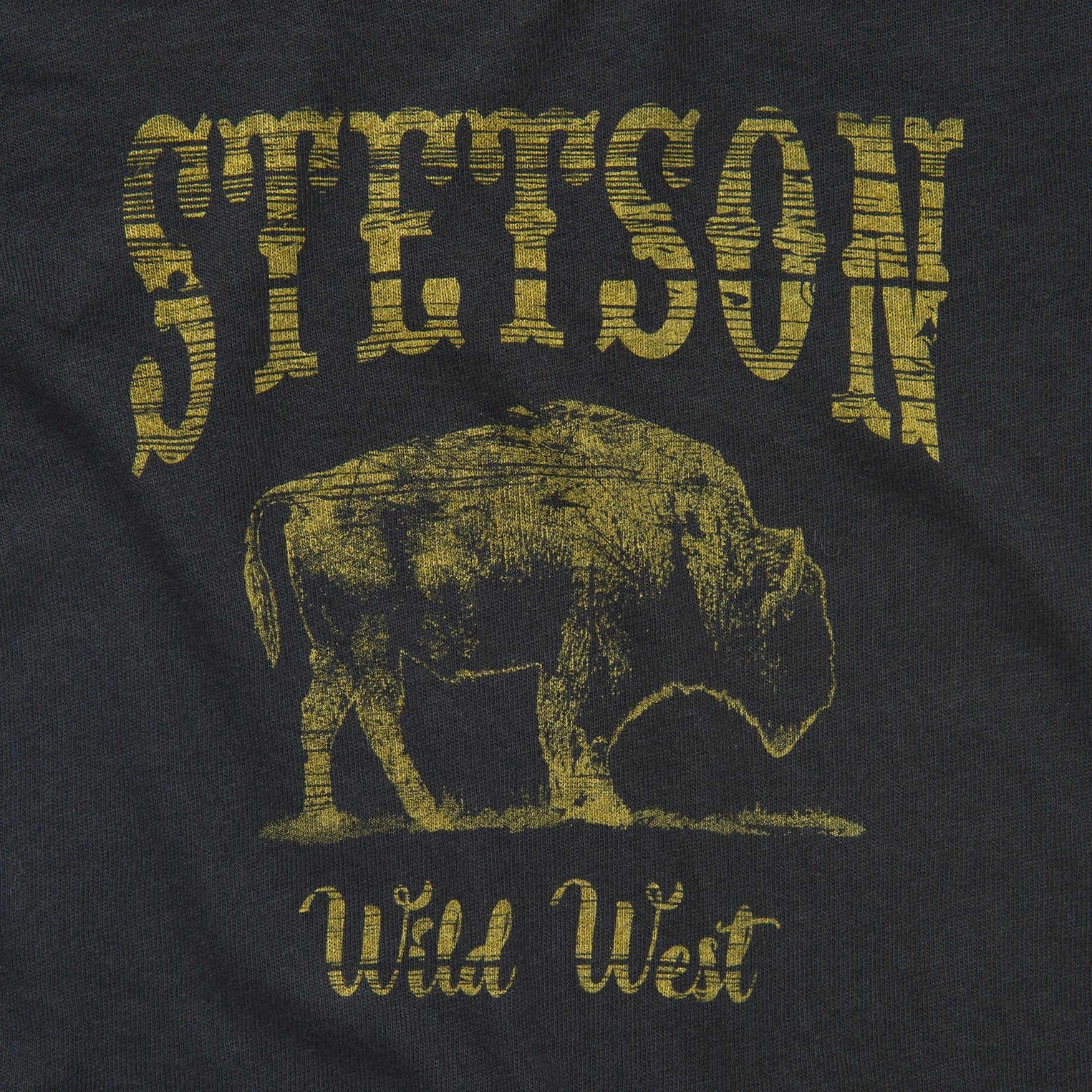 Bison Graphic Tee | Stetson Black