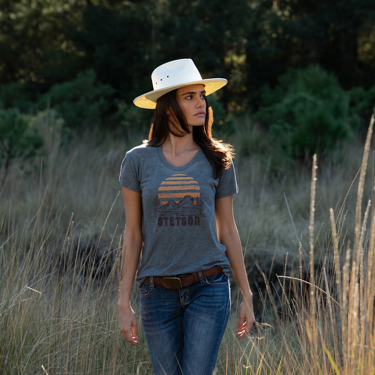 Sunset Graphic Tee | Stetson Grey