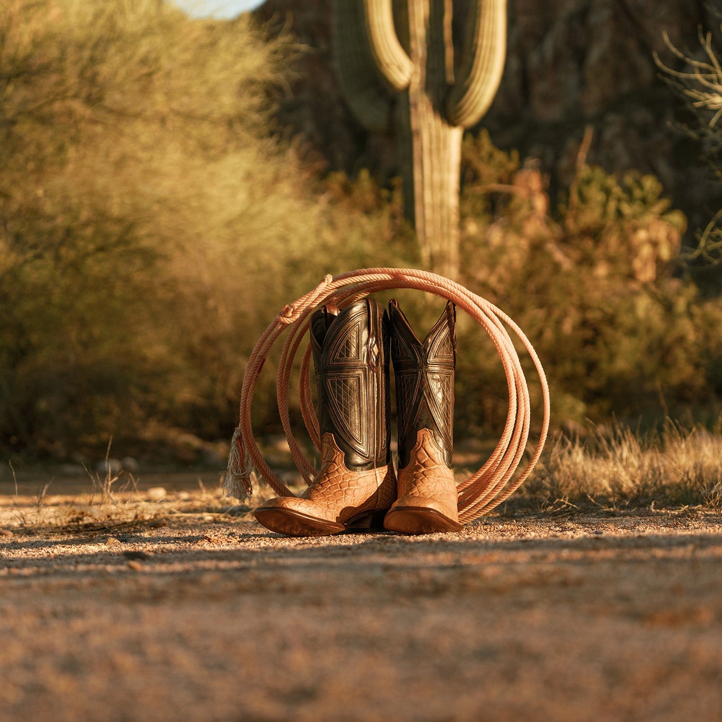 Flaxville | Stetson Tan