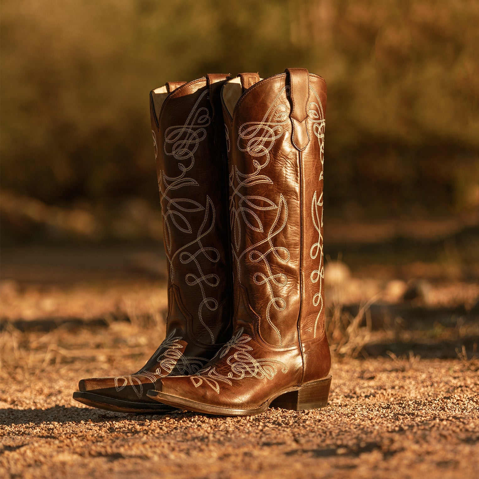 Adeline Burnished Brown Back Zip Cowboy Boot | Stetson Brown
