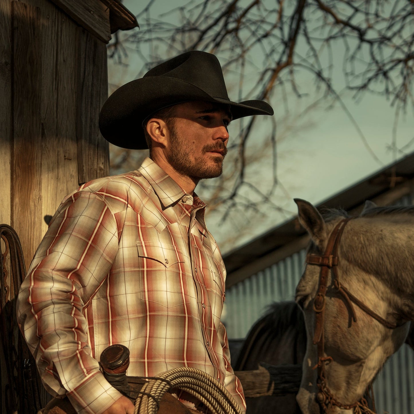 El Amo 500X Premier Cowboy Hat | Stetson Black