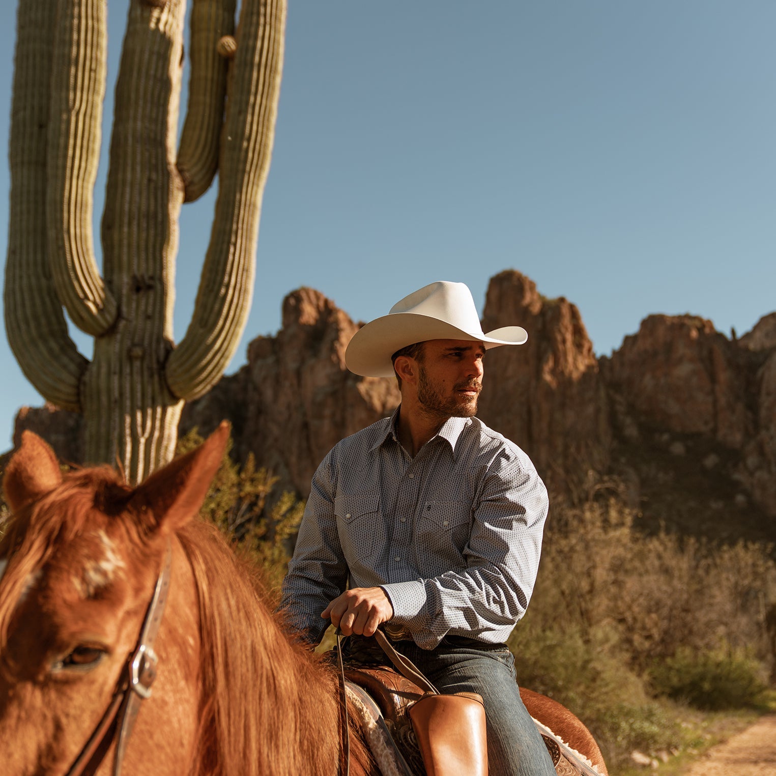 Shasta 10X Premier Cowboy Hat | Stetson White