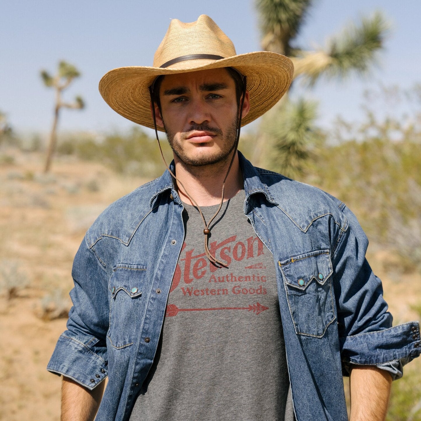 Vintage Arrow Graphic Tee | Stetson Grey