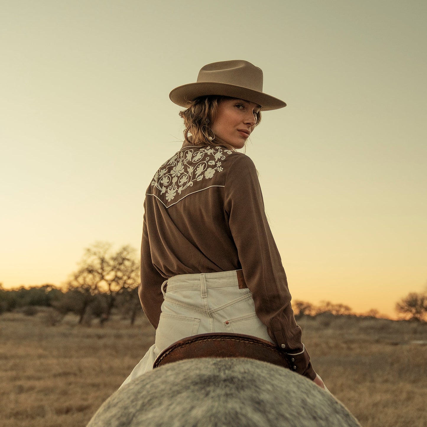 Classic Western Snap Shirt | Stetson Brown