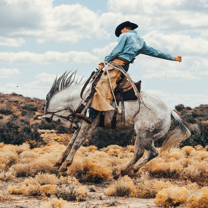 Long-Sleeved Denim Shirt | Stetson Blue