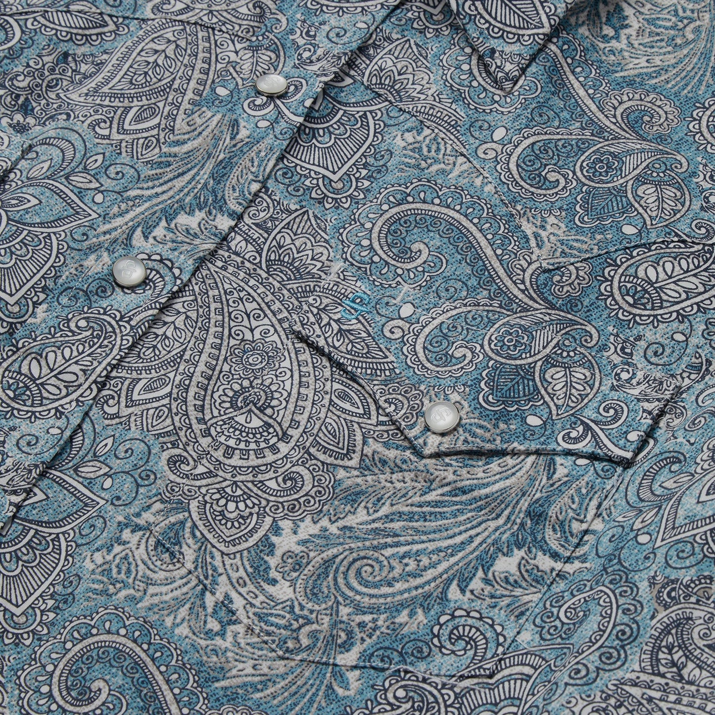 Paisley Western Shirt | Stetson Green