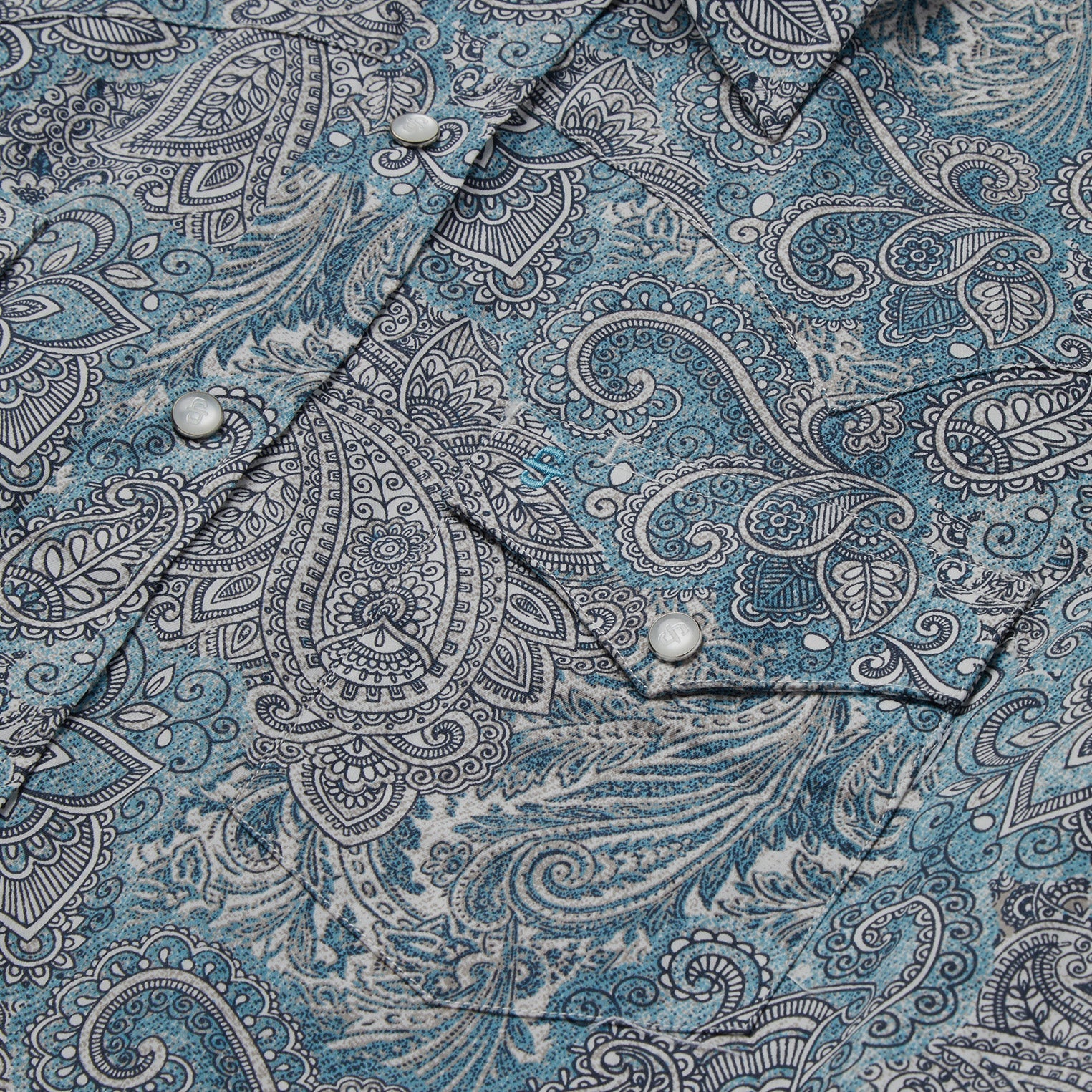 Paisley Western Shirt | Stetson Green