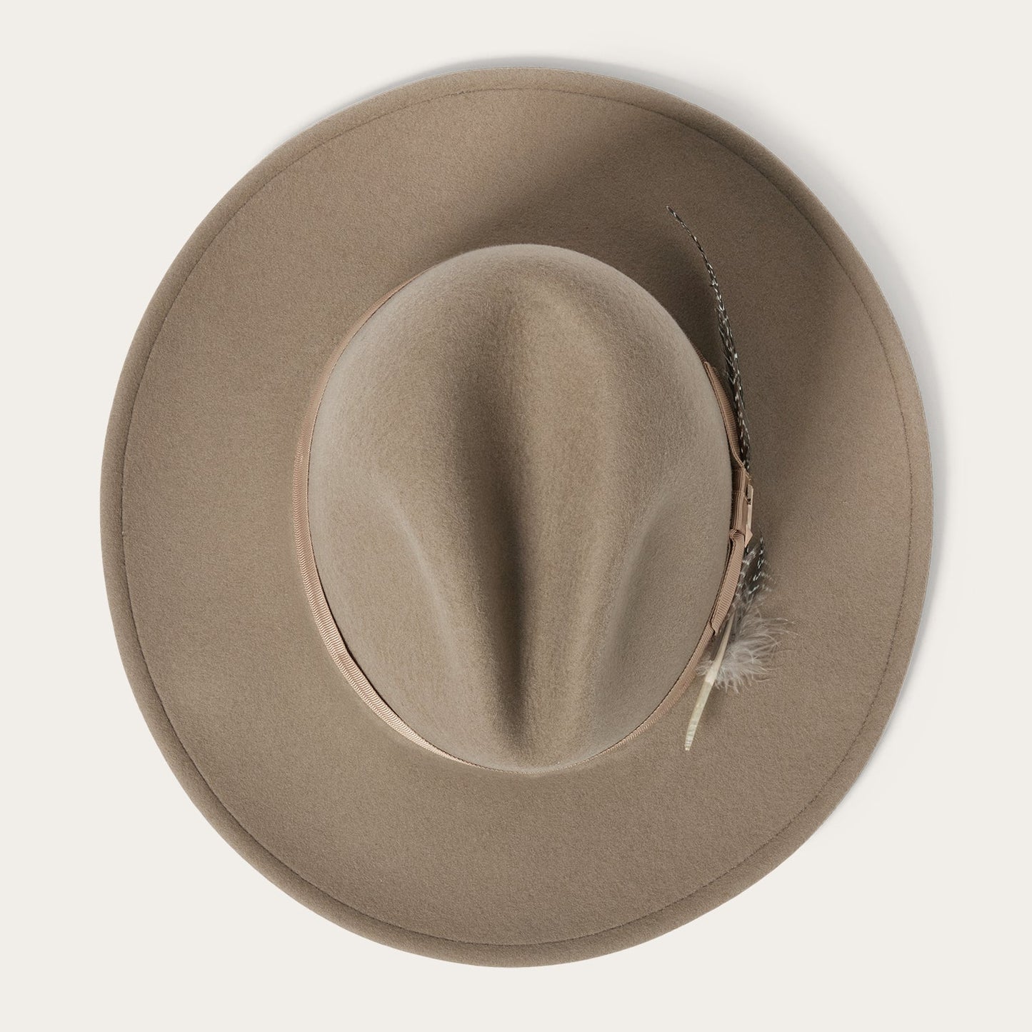 The McCrea | Stetson Mushroom