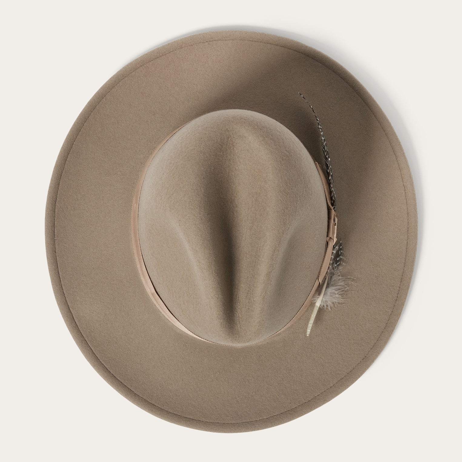 The McCrea | Stetson Mushroom