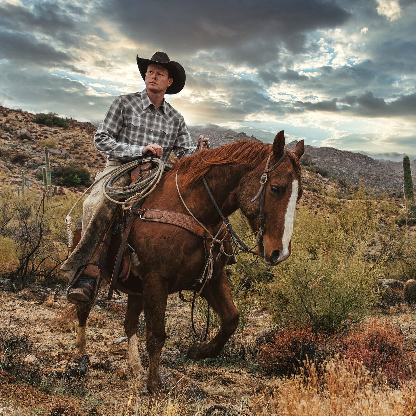 Dobby Twill Plaid Shirt | Stetson Brown