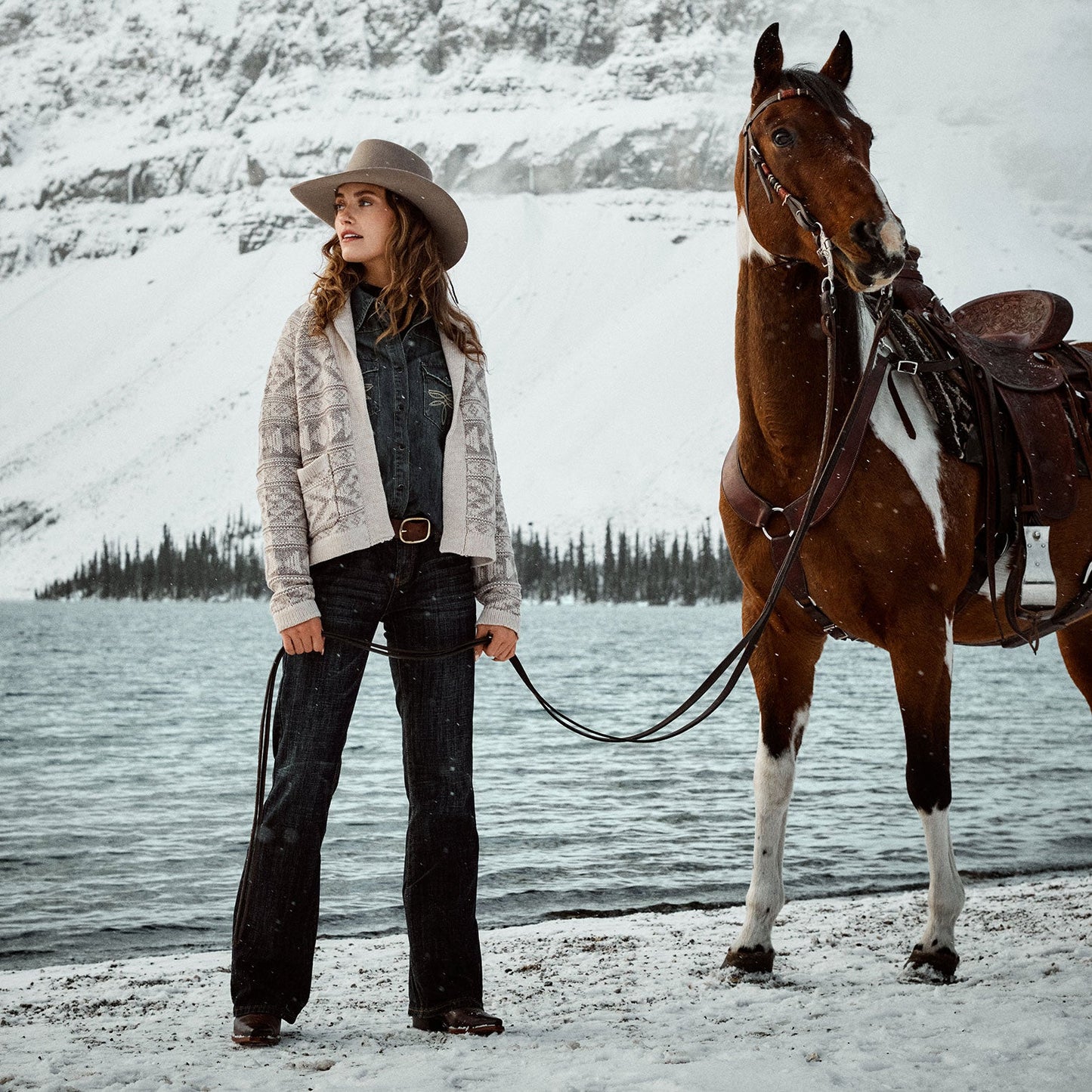 Cropped Shawl Collar Cardigan | Stetson Brown
