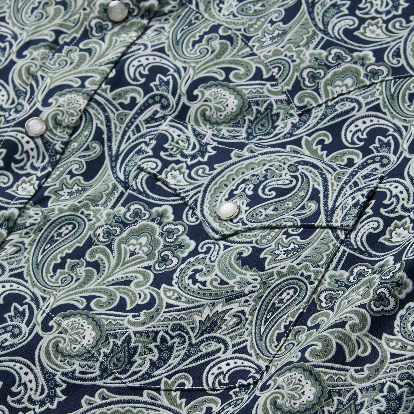 Greenspring Paisley Print Western Shirt | Stetson Blue