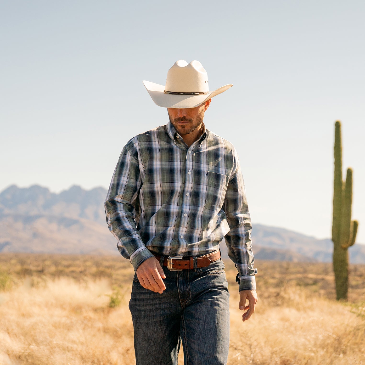 Lucky Diamond Plaid Button Front Shirt | Stetson Green