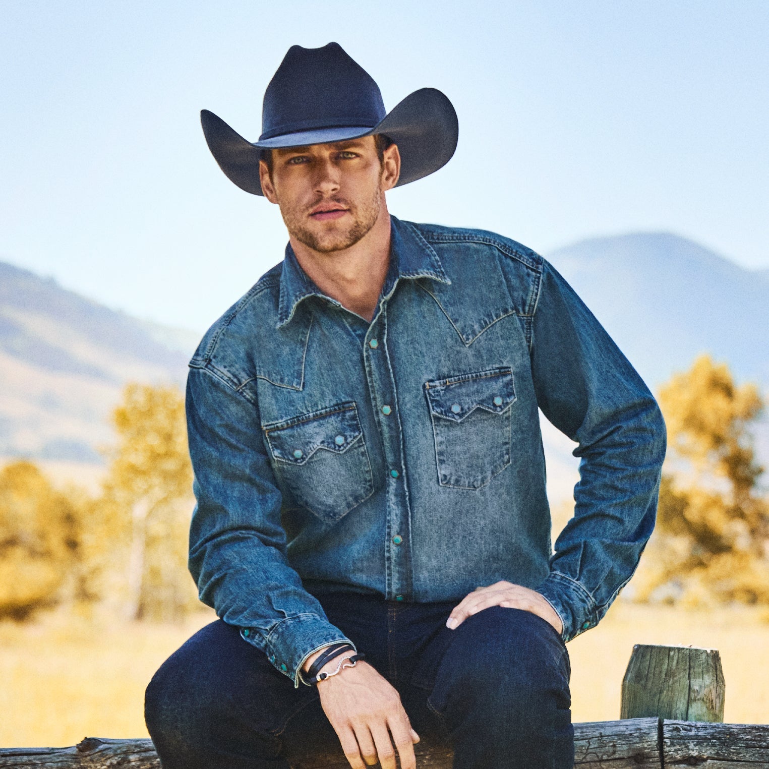 Mason 4X Cowboy Hat | Stetson Granite