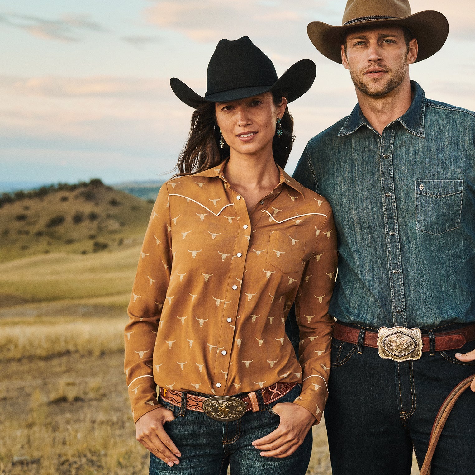 Mojave Longhorn Print Snap Western Shirt | Stetson Brown