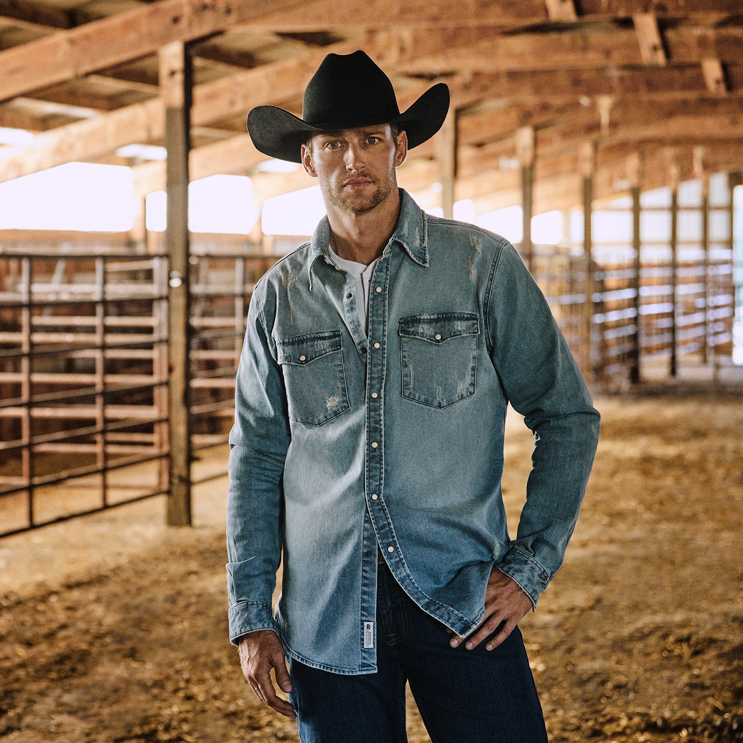 Distressed Denim Western Shirt | Stetson Blue