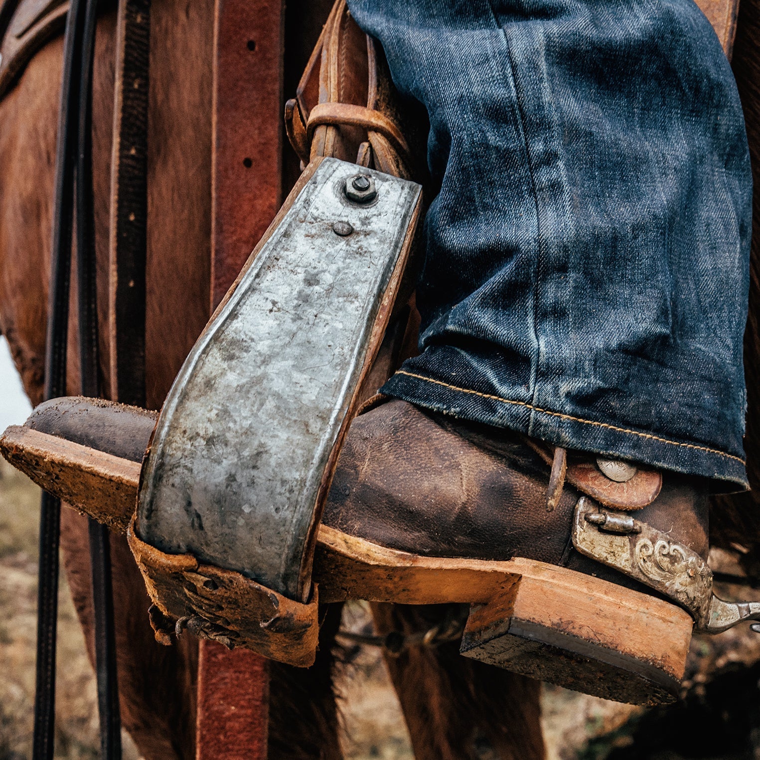 Rancher Zip Roper | Stetson Oiled Walnut