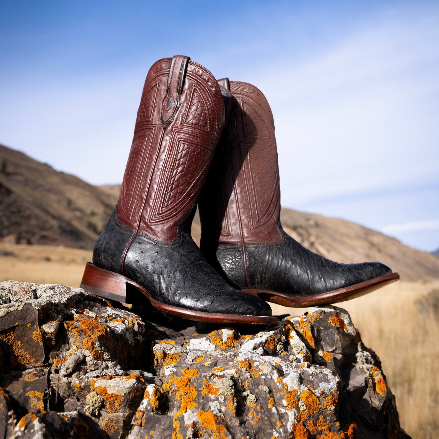 Dillon Ostrich Boots | Stetson Black