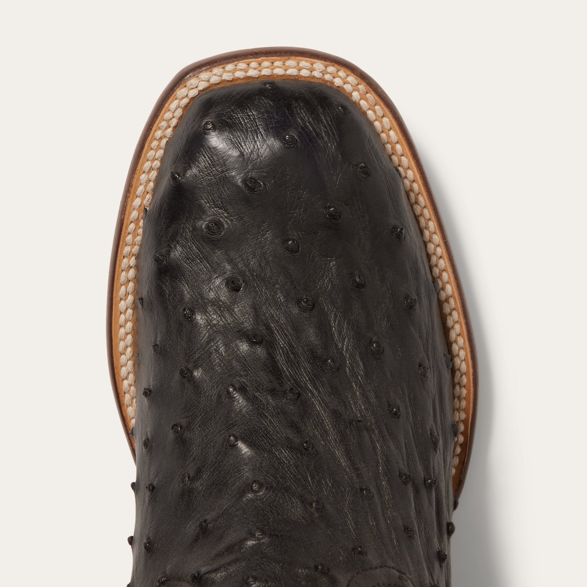 Dillon Ostrich Boots | Stetson Black