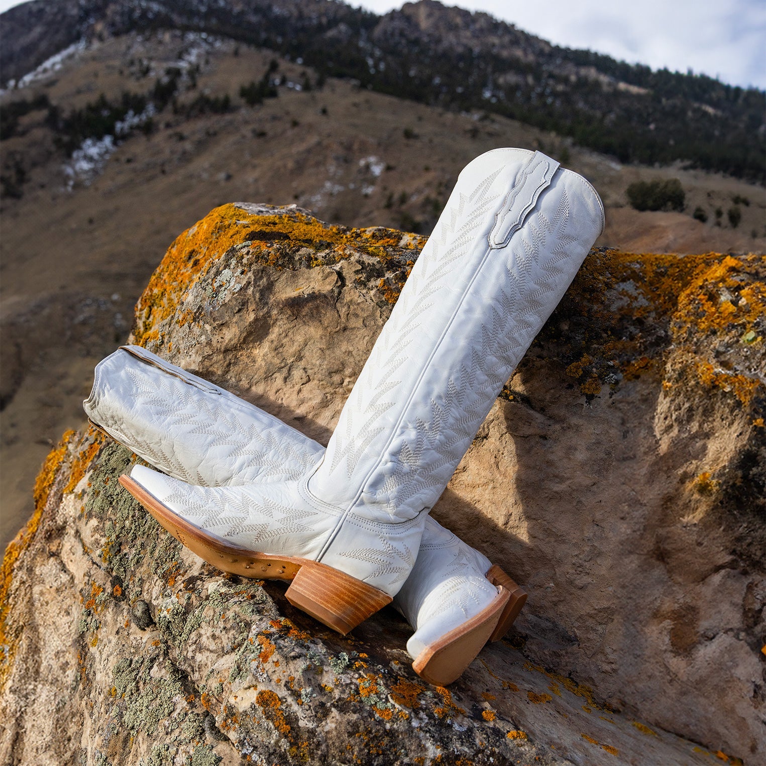 Sarah Boots | Stetson White