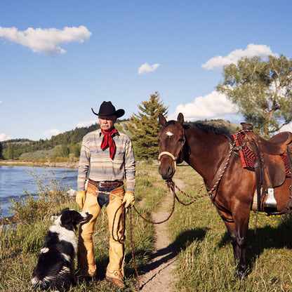 Blue Stripe Flannel Western Shirt | Stetson Blue
