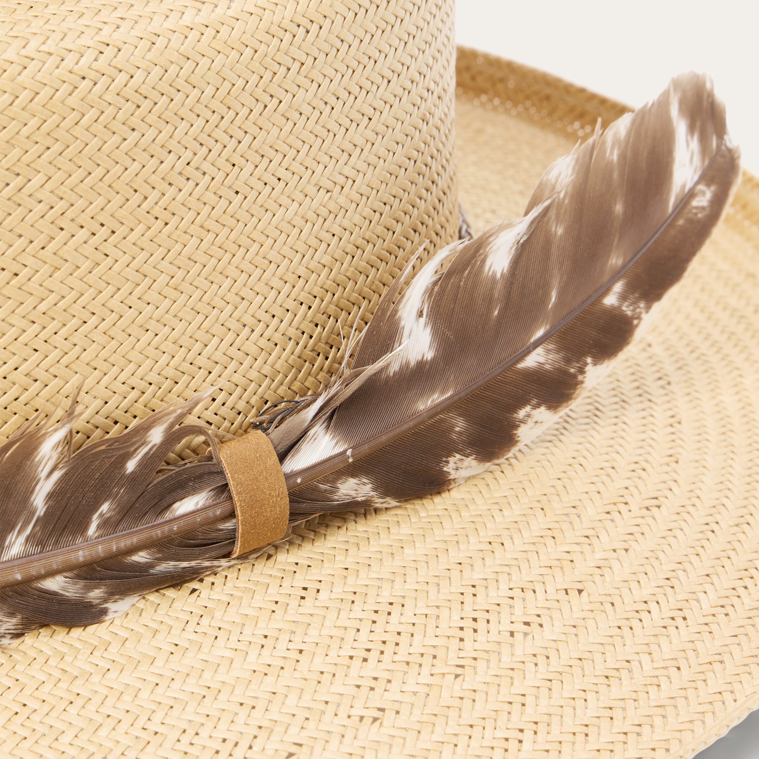 Might Could | Stetson Tan