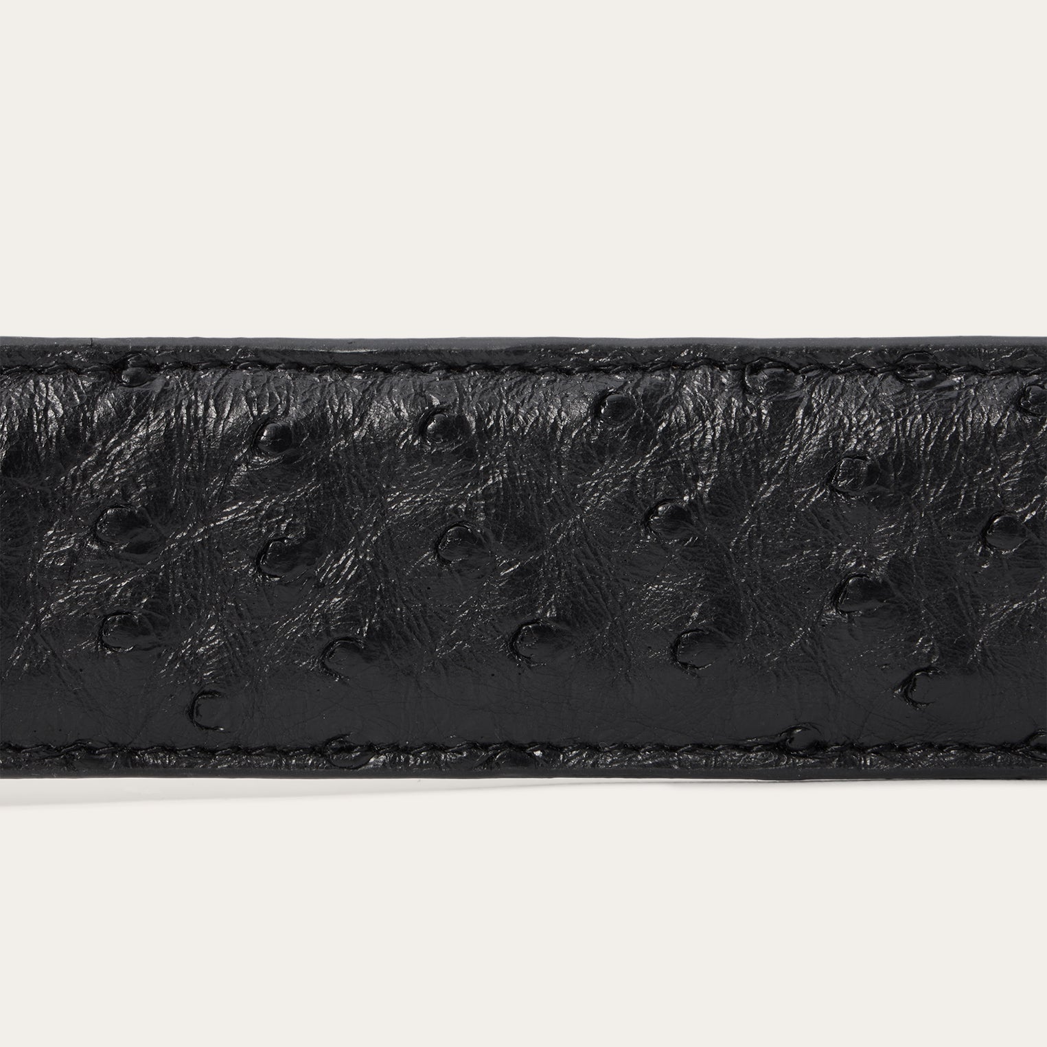 Ostrich Western Tab Belt | Stetson Black