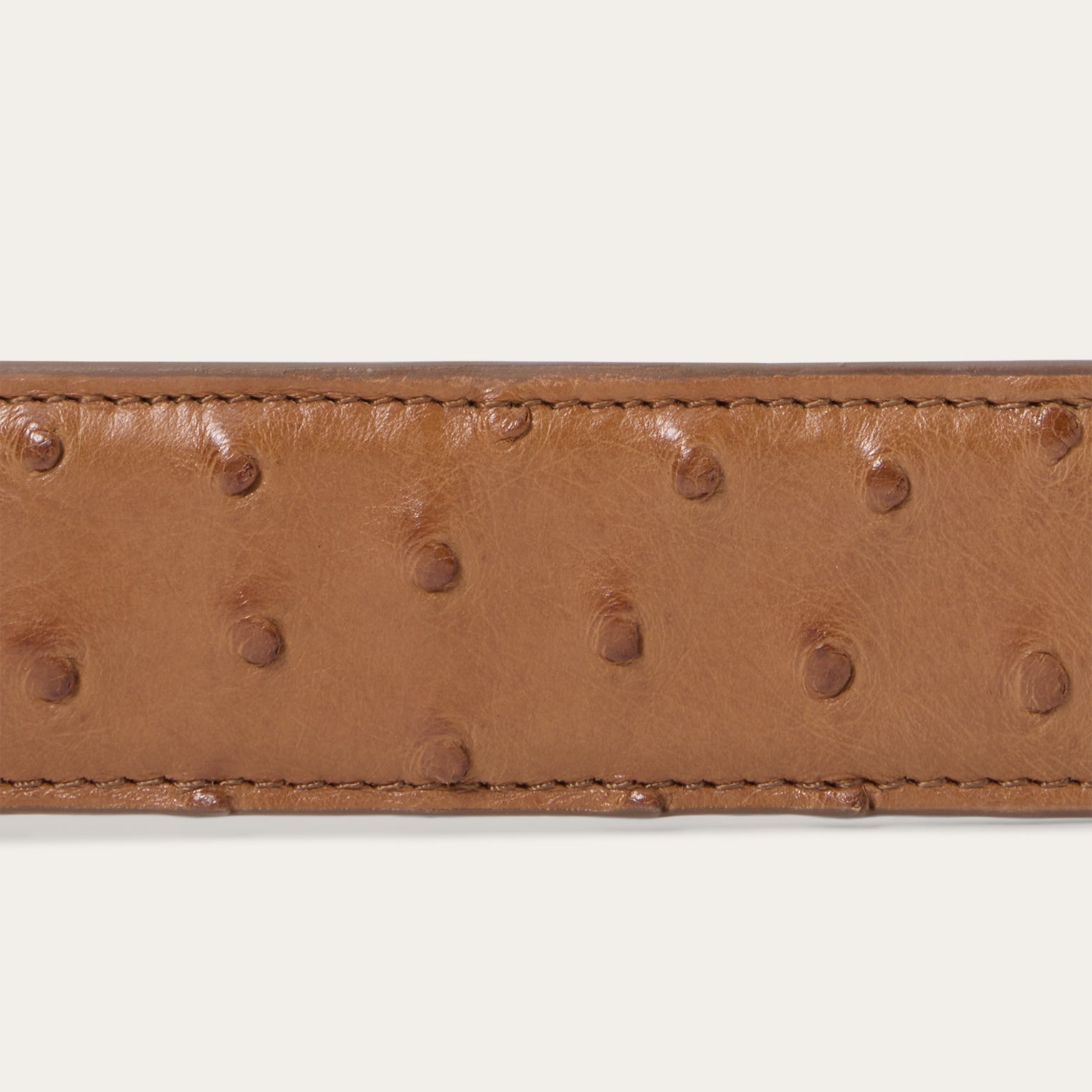 Ostrich Western Tab Belt | Stetson Antique Cognac
