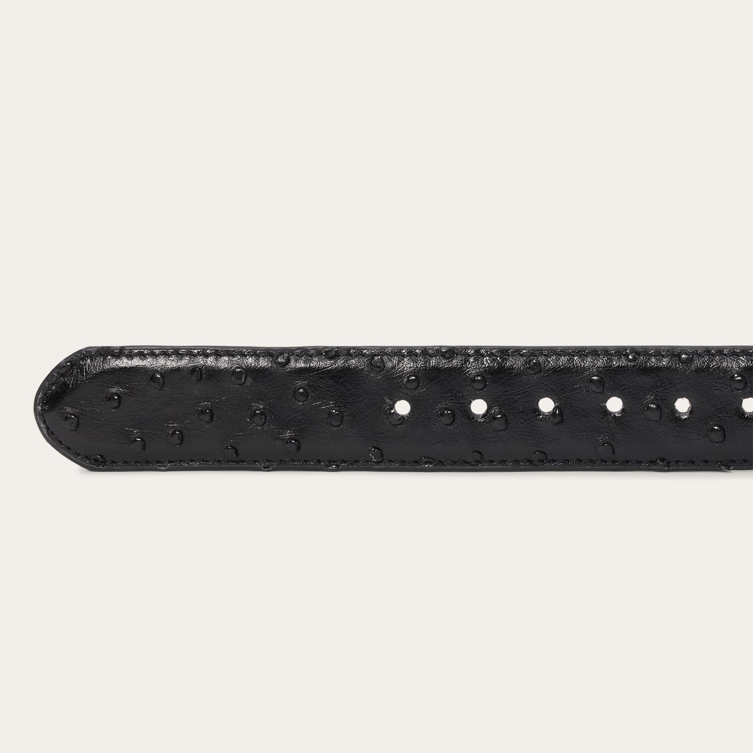 Ostrich Western Tab Belt - 1 1/4" Width | Stetson Black Classic