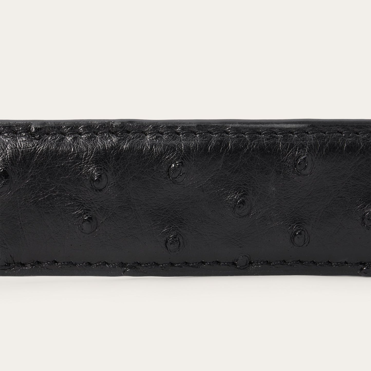 Ostrich Western Tab Belt - 1 1/4" Width | Stetson Black Classic