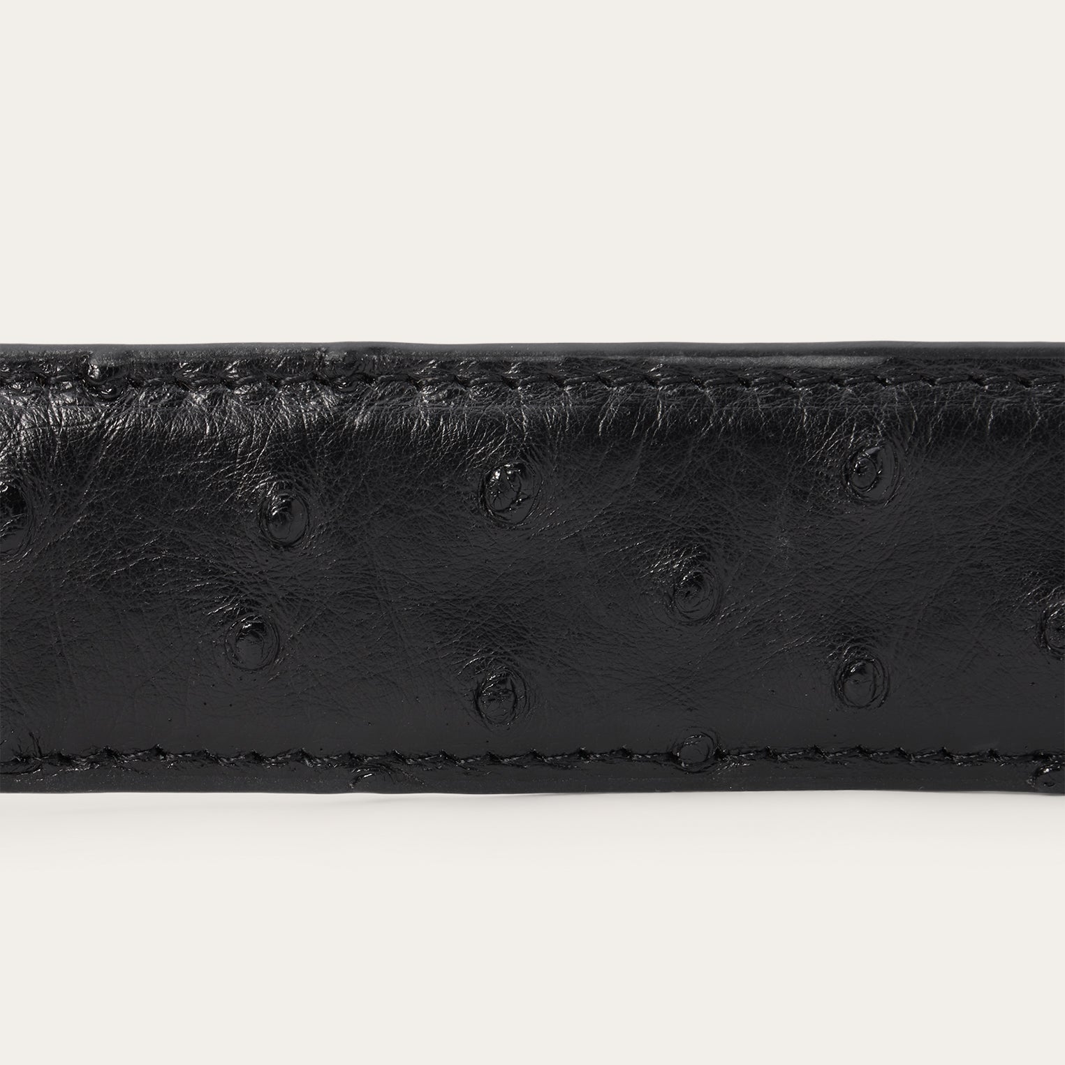 Ostrich Western Tab Belt - 1 1/4" Width | Stetson Black Classic